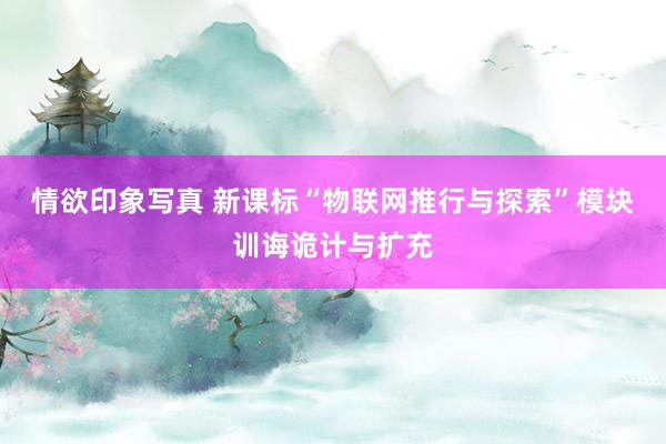 情欲印象写真 新课标“物联网推行与探索”模块训诲诡计与扩充