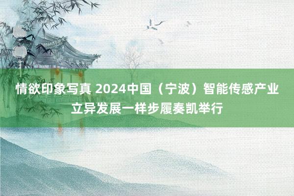 情欲印象写真 2024中国（宁波）智能传感产业立异发展一样步履奏凯举行