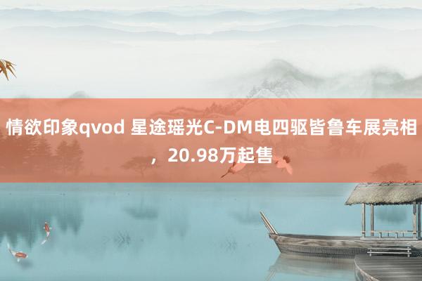 情欲印象qvod 星途瑶光C-DM电四驱皆鲁车展亮相，20.98万起售