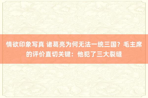 情欲印象写真 诸葛亮为何无法一统三国？毛主席的评价直切关键：他犯了三大裂缝