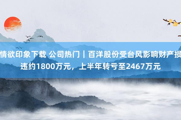 情欲印象下载 公司热门｜百洋股份受台风影响财产损违约1800万元，上半年转亏至2467万元