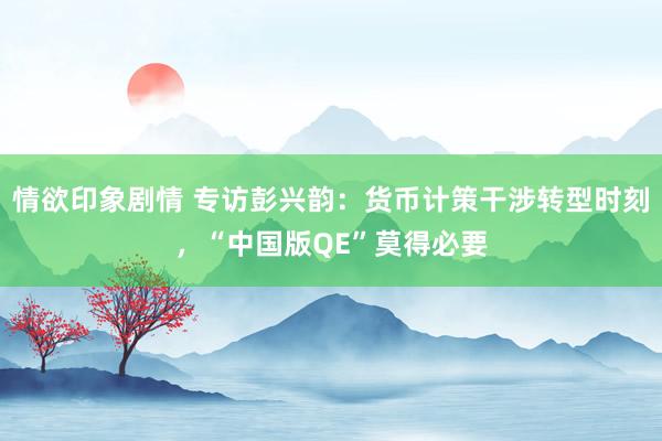 情欲印象剧情 专访彭兴韵：货币计策干涉转型时刻，“中国版QE”莫得必要