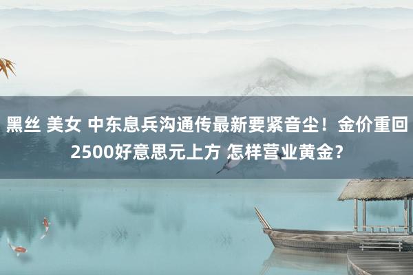 黑丝 美女 中东息兵沟通传最新要紧音尘！金价重回2500好意思元上方 怎样营业黄金？