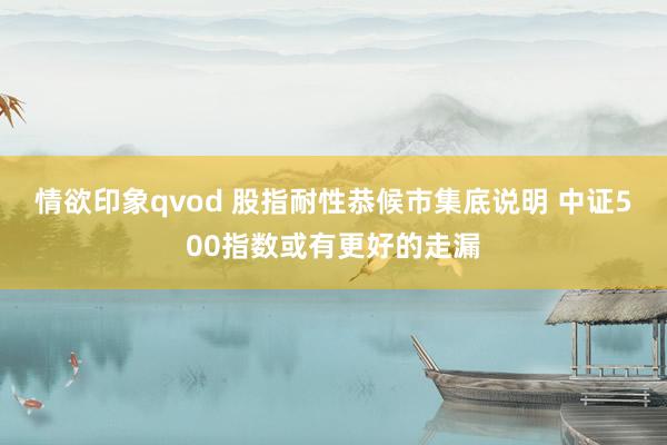 情欲印象qvod 股指耐性恭候市集底说明 中证500指数或有更好的走漏