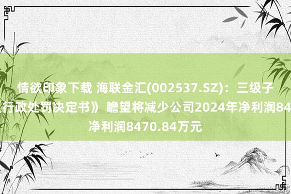 情欲印象下载 海联金汇(002537.SZ)：三级子公司收到《行政处罚决定书》 瞻望将减少公司2024年净利润8470.84万元