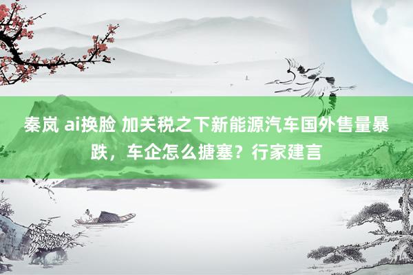 秦岚 ai换脸 加关税之下新能源汽车国外售量暴跌，车企怎么搪塞？行家建言