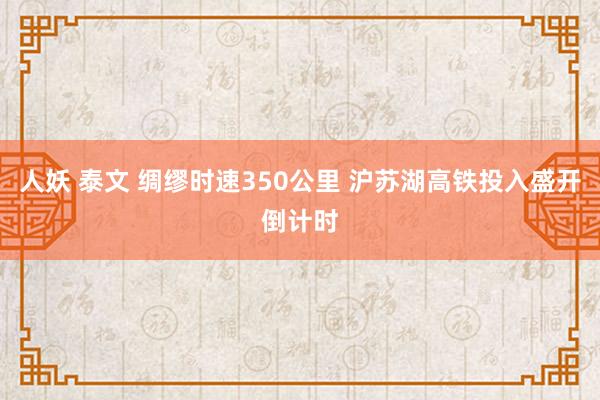 人妖 泰文 绸缪时速350公里 沪苏湖高铁投入盛开倒计时