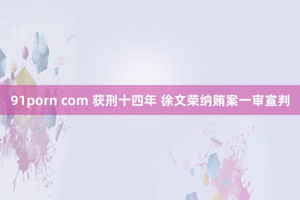 91porn com 获刑十四年 徐文荣纳贿案一审宣判