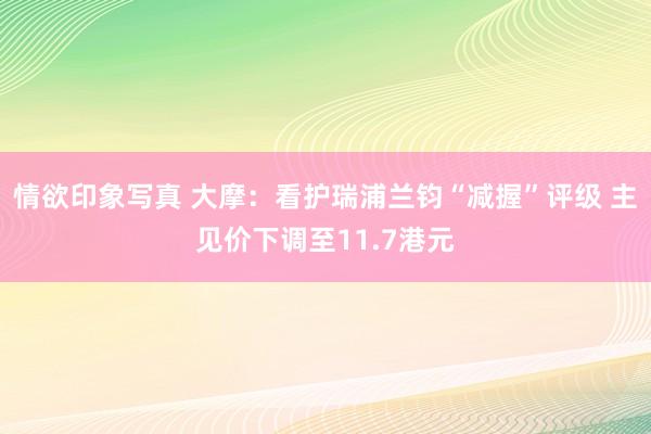 情欲印象写真 大摩：看护瑞浦兰钧“减握”评级 主见价下调至11.7港元