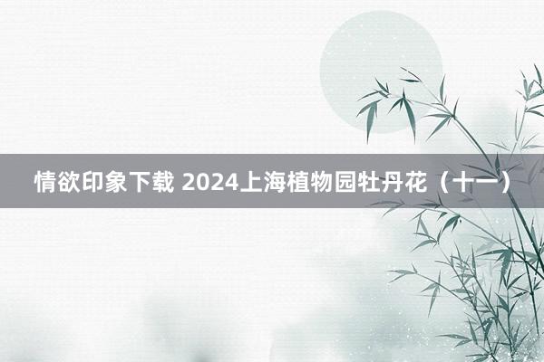 情欲印象下载 2024上海植物园牡丹花（十一）