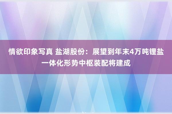 情欲印象写真 盐湖股份：展望到年末4万吨锂盐一体化形势中枢装配将建成