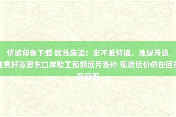 情欲印象下载 欧线集运：宏不雅情谊、地缘升级重叠好意思东口岸歇工预期远月涨停 现货运价仍在回落