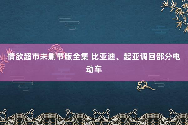 情欲超市未删节版全集 比亚迪、起亚调回部分电动车