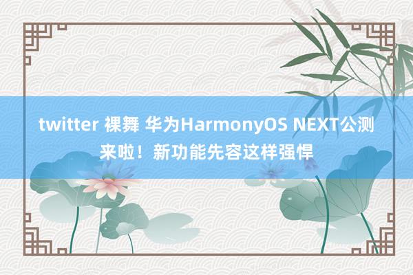 twitter 裸舞 华为HarmonyOS NEXT公测来啦！新功能先容这样强悍