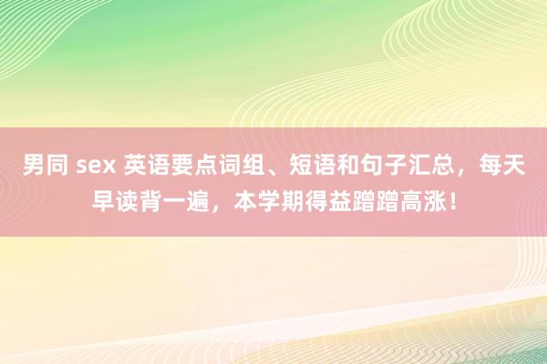 男同 sex 英语要点词组、短语和句子汇总，每天早读背一遍，本学期得益蹭蹭高涨！