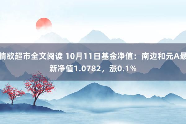 情欲超市全文阅读 10月11日基金净值：南边和元A最新净值1.0782，涨0.1%