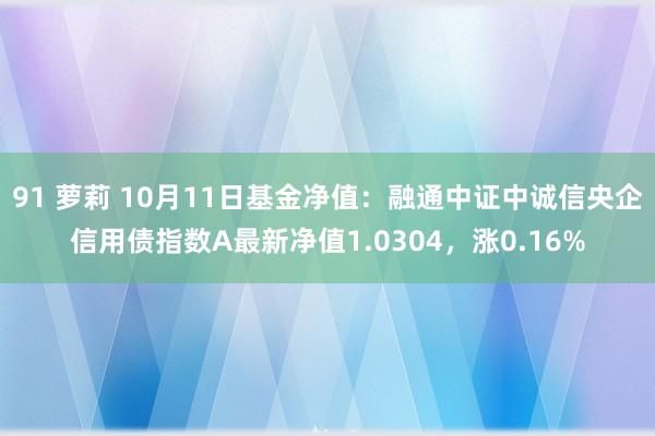 91 萝莉 10月11日基金净值：融通中证中诚信央企信用债指数A最新净值1.0304，涨0.16%