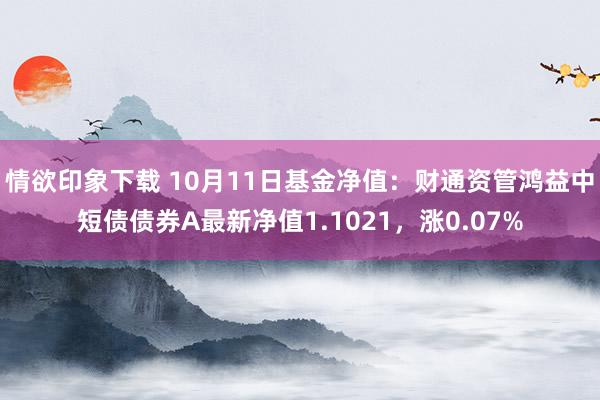 情欲印象下载 10月11日基金净值：财通资管鸿益中短债债券A最新净值1.1021，涨0.07%