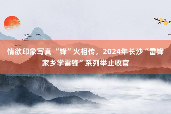 情欲印象写真 “锋”火相传，2024年长沙“雷锋家乡学雷锋”系列举止收官