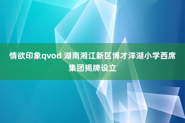 情欲印象qvod 湖南湘江新区博才洋湖小学西席集团揭牌设立