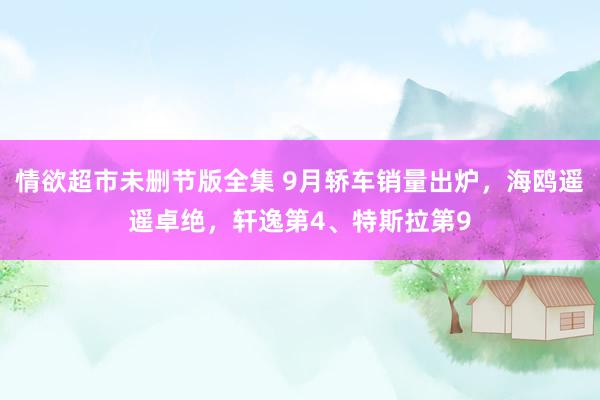 情欲超市未删节版全集 9月轿车销量出炉，海鸥遥遥卓绝，轩逸第4、特斯拉第9