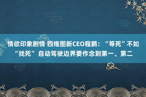 情欲印象剧情 四维图新CEO程鹏：“等死”不如“找死” 自动驾驶边界要作念到第一、第二