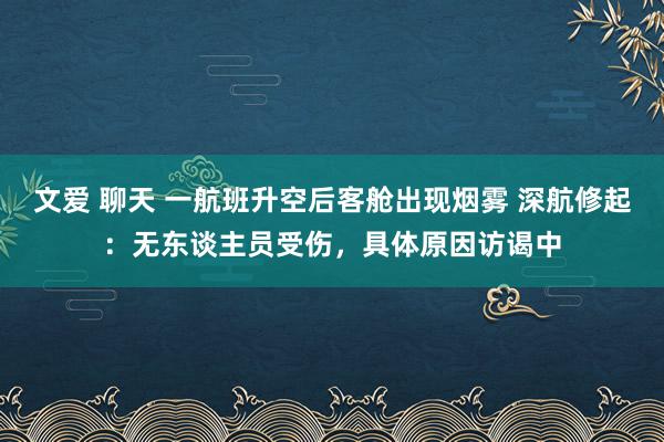 文爱 聊天 一航班升空后客舱出现烟雾 深航修起：无东谈主员受伤，具体原因访谒中