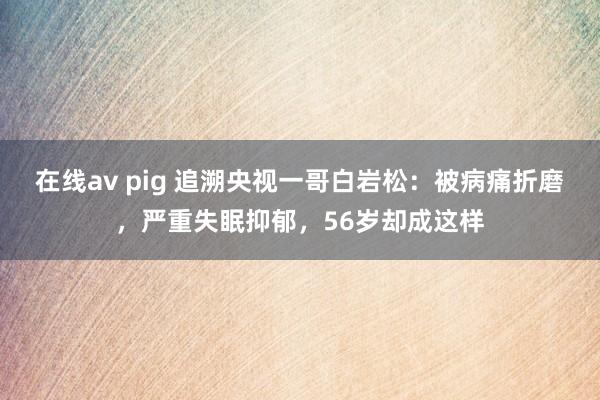 在线av pig 追溯央视一哥白岩松：被病痛折磨，严重失眠抑郁，56岁却成这样