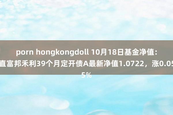 porn hongkongdoll 10月18日基金净值：耿直富邦禾利39个月定开债A最新净值1.0722，涨0.05%