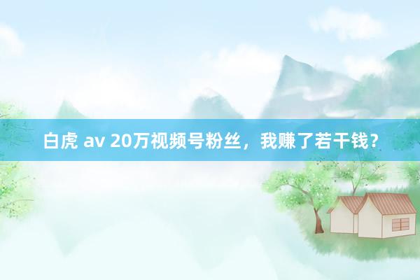 白虎 av 20万视频号粉丝，我赚了若干钱？