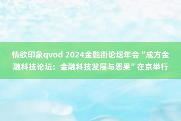 情欲印象qvod 2024金融街论坛年会“成方金融科技论坛：金融科技发展与恶果”在京举行