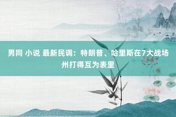 男同 小说 最新民调：特朗普、哈里斯在7大战场州打得互为表里