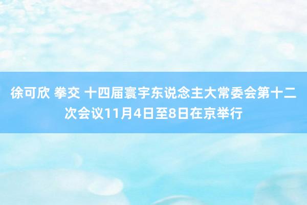 徐可欣 拳交 十四届寰宇东说念主大常委会第十二次会议11月4日至8日在京举行