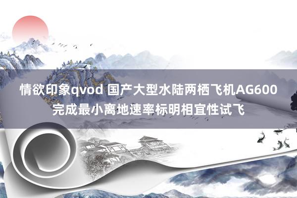 情欲印象qvod 国产大型水陆两栖飞机AG600完成最小离地速率标明相宜性试飞