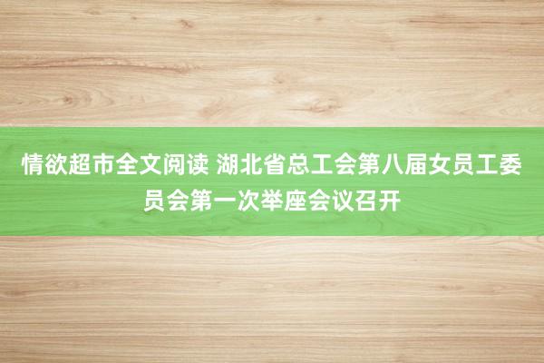 情欲超市全文阅读 湖北省总工会第八届女员工委员会第一次举座会议召开