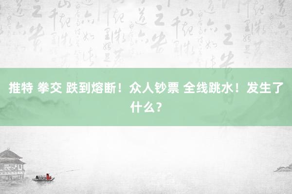 推特 拳交 跌到熔断！众人钞票 全线跳水！发生了什么？