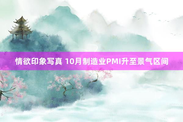 情欲印象写真 10月制造业PMI升至景气区间