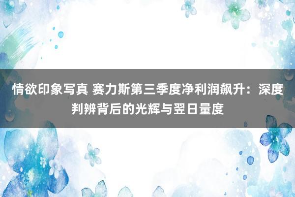 情欲印象写真 赛力斯第三季度净利润飙升：深度判辨背后的光辉与翌日量度