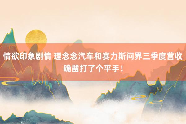 情欲印象剧情 理念念汽车和赛力斯问界三季度营收确凿打了个平手！