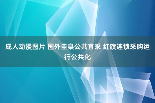 成人动漫图片 国外圭臬公共直采 红旗连锁采购运行公共化