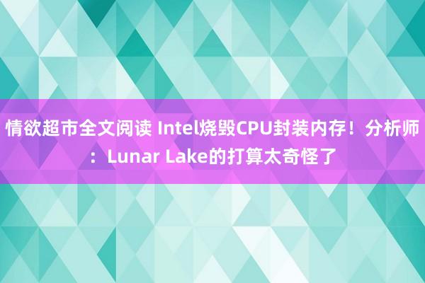 情欲超市全文阅读 Intel烧毁CPU封装内存！分析师：Lunar Lake的打算太奇怪了