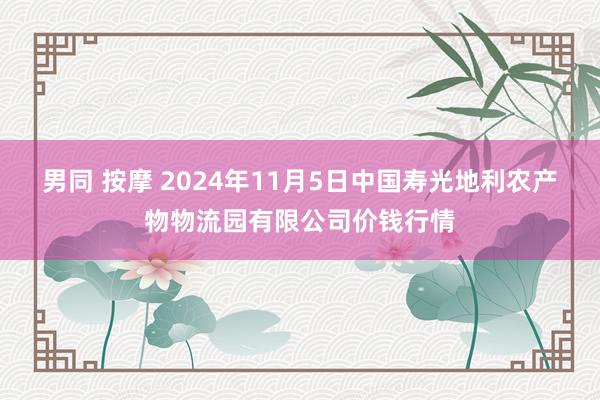 男同 按摩 2024年11月5日中国寿光地利农产物物流园有限公司价钱行情