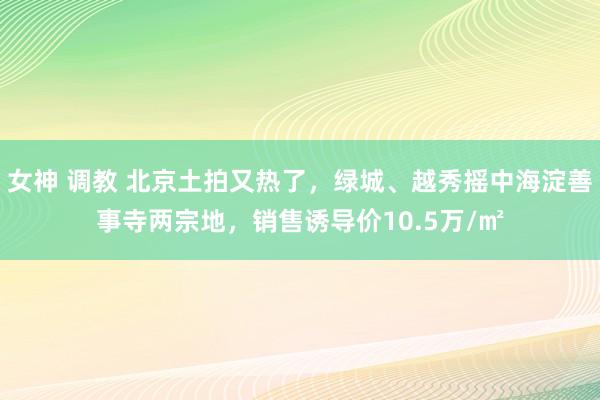 女神 调教 北京土拍又热了，绿城、越秀摇中海淀善事寺两宗地，销售诱导价10.5万/㎡