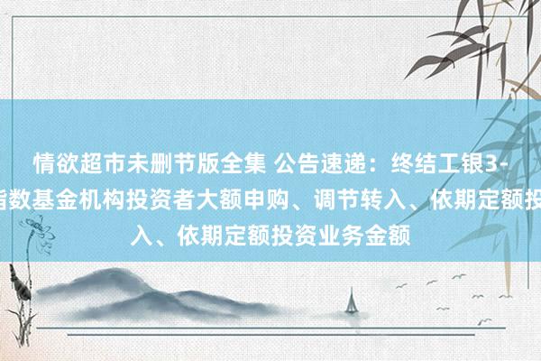 情欲超市未删节版全集 公告速递：终结工银3-5年国开债指数基金机构投资者大额申购、调节转入、依期定额投资业务金额