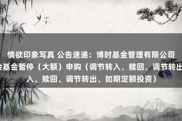 情欲印象写真 公告速递：博时基金管理有限公司博时安盈债券基金基金暂停（大额）申购（调节转入、赎回、调节转出、如期定额投资）