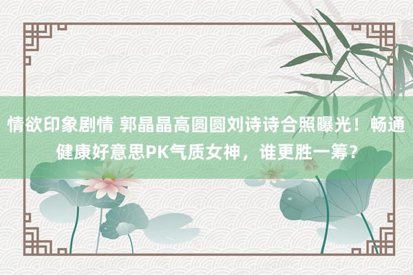 情欲印象剧情 郭晶晶高圆圆刘诗诗合照曝光！畅通健康好意思PK气质女神，谁更胜一筹？