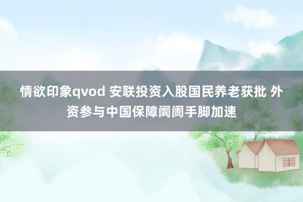 情欲印象qvod 安联投资入股国民养老获批 外资参与中国保障阛阓手脚加速