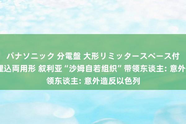 パナソニック 分電盤 大形リミッタースペース付 露出・半埋込両用形 叙利亚“沙姆自若组织”带领东谈主: 意外造反以色列