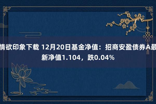 情欲印象下载 12月20日基金净值：招商安盈债券A最新净值1.104，跌0.04%