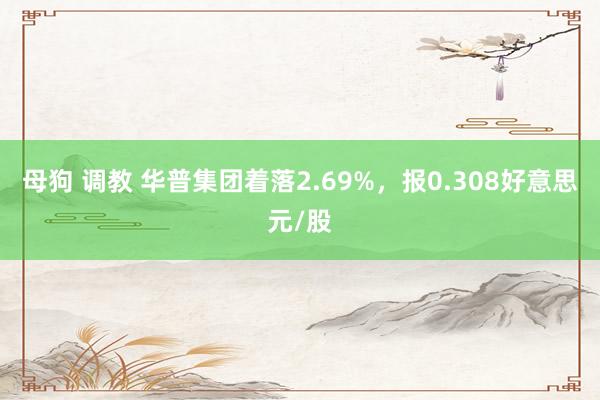 母狗 调教 华普集团着落2.69%，报0.308好意思元/股